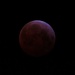 Blood Moon Beginnings