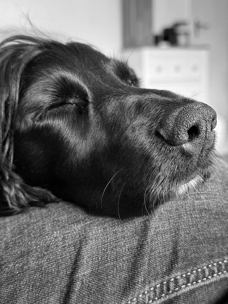 And sleep by gaillambert