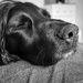 And sleep