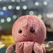 Pink Bokeh 
