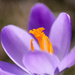 Spring has sprung