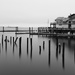 D75 Dawn of Early Spring by darylluk