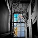 Window of Truth