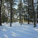 March snow