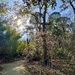 Sunlight and shadows
