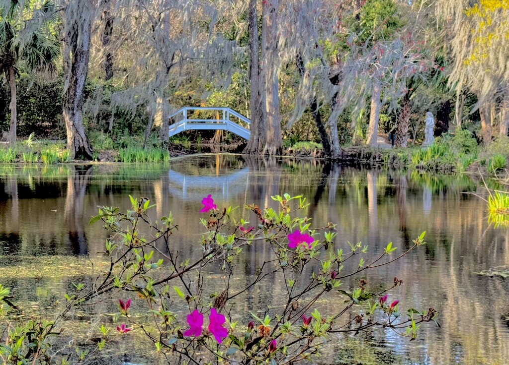 Magnolia Gardens  by congaree