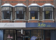 17th Mar 2025 - Prince Arlo