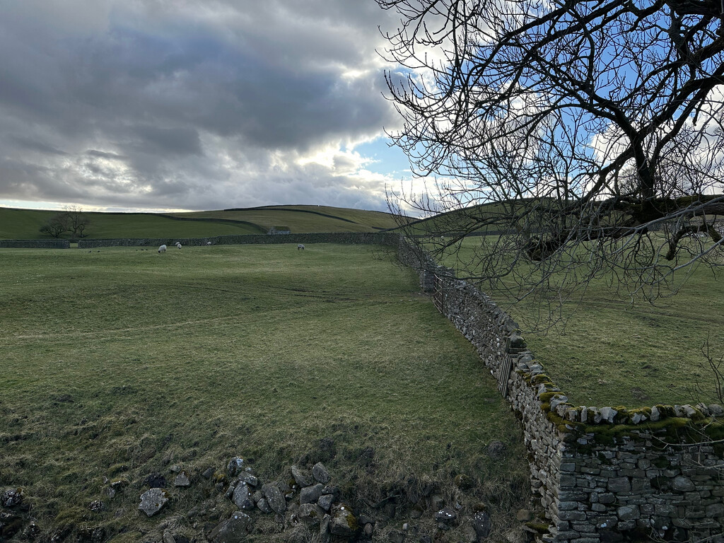 Skelgill, Wensleydale by 365projectmaxine