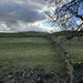 Skelgill, Wensleydale