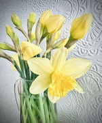12th Mar 2025 - 12th March 2025