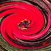Red 3