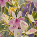 Florals~~~~~ by ziggy77