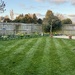 First Cut