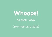 20th Feb 2025 - 20th February 2025