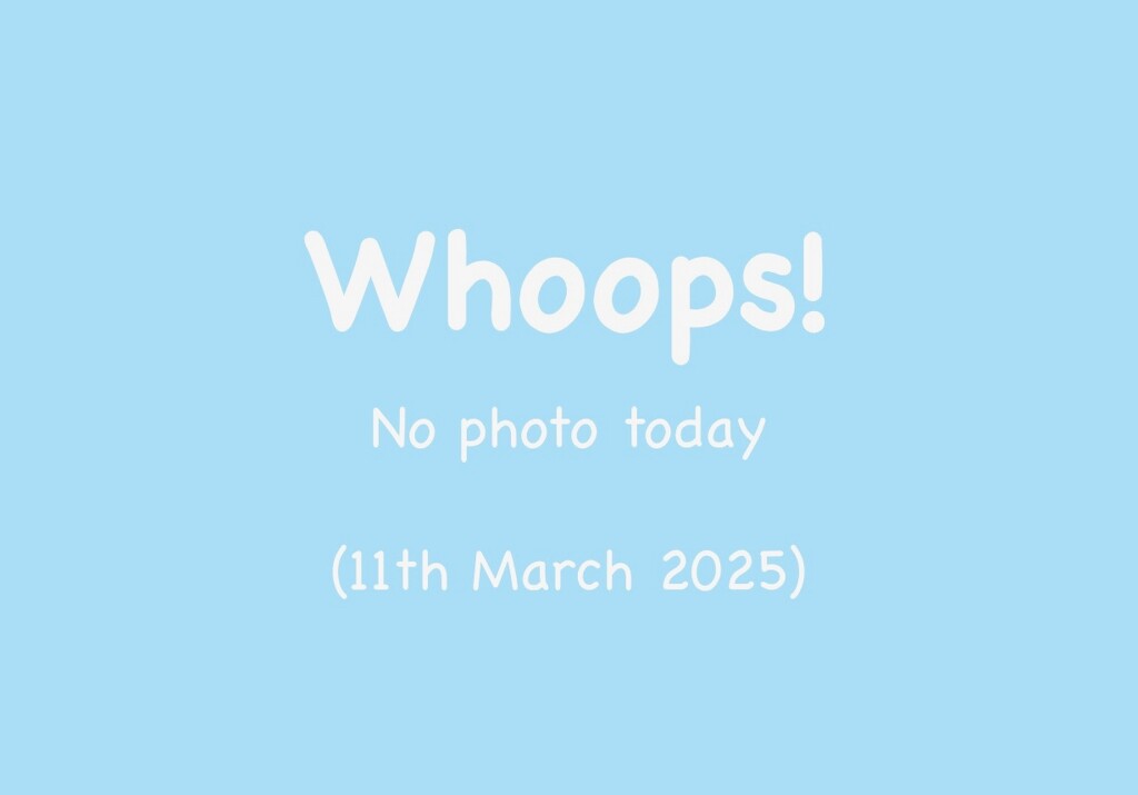 11th March 2025 by emmadurnford