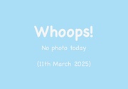 11th Mar 2025 - 11th March 2025