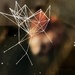 AI magic in process