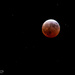 Stars Watch The Moon Glow 