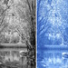 Comparison no 1