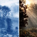 Comparison no 2