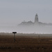 Fog on the river