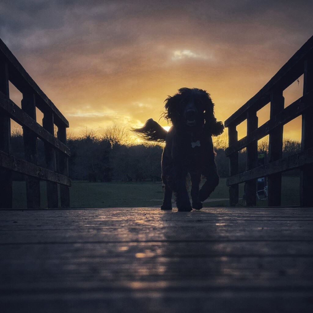 Sunset walk by gaillambert