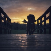 17th Mar 2025 - Sunset walk