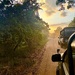End of the day in Yala national park. 