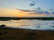 17th Mar 2025 - Sunset in Yala. 