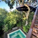 Good morning between pool and tree. 