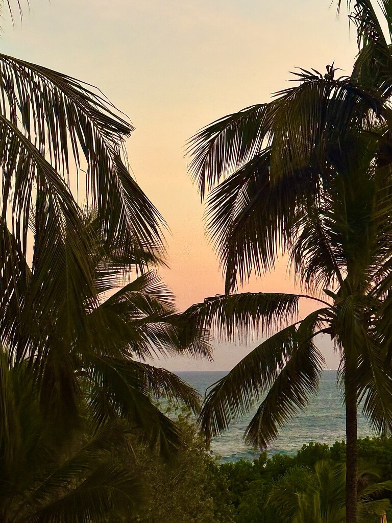 First sunset in Hambantota.  by cocobella