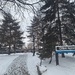 In The Park 