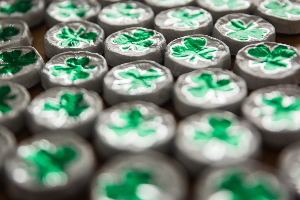 St. Patrick's Day Treat by tina_mac