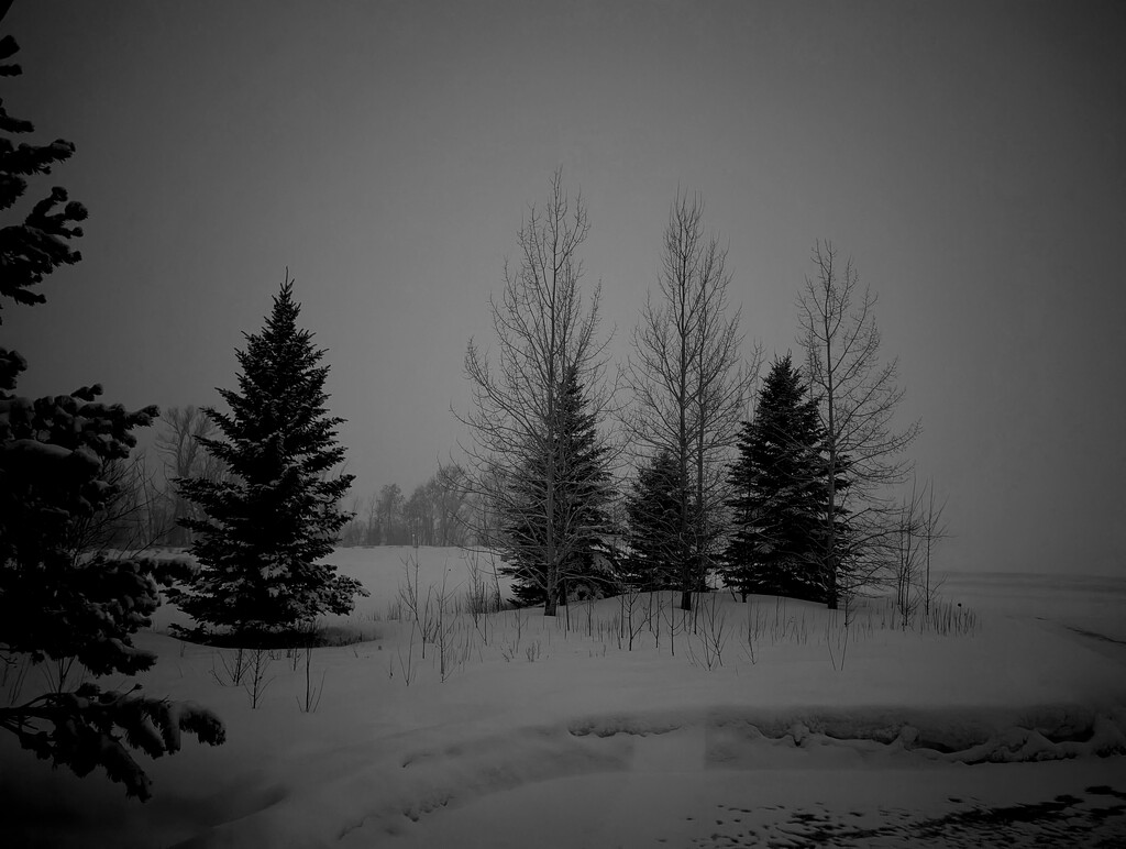 End of a Grey Day by jenorton
