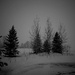 End of a Grey Day