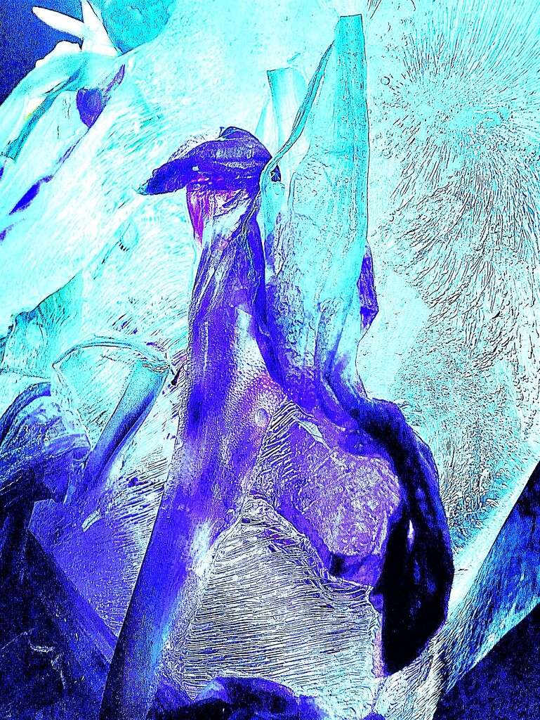 Crushed Purple Flower in Ice by sewfree