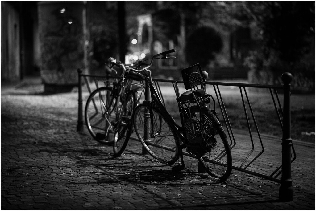 HL00002151-20250317_205524 by highlux