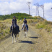 Forest Ride