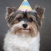 Teo is 4 today!