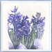 A Scent of Spring