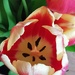So pretty! 