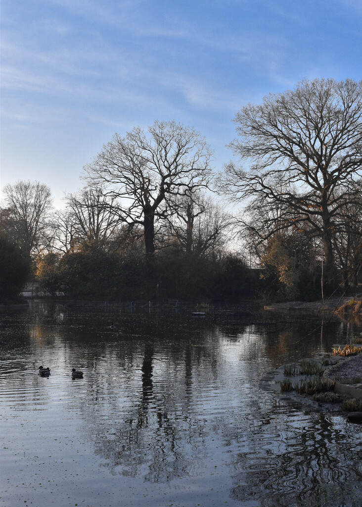 Winter Reflections by tiaj1402