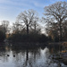 Winter Reflections