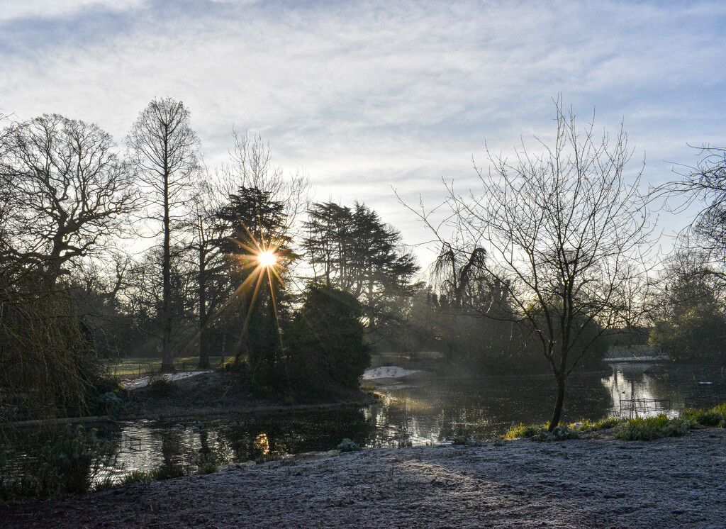 Winter Sun by tiaj1402
