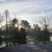 Winter Sun