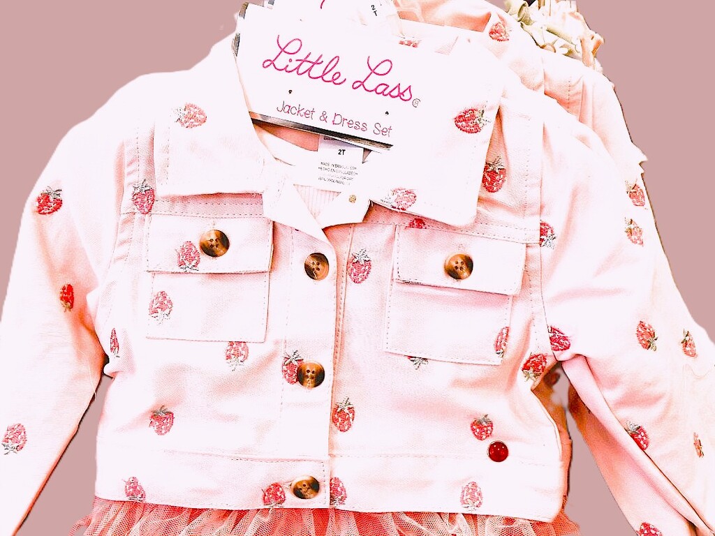Strawberry Pink Chic by sewfree