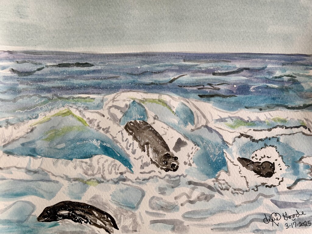 Sea Lion Recess by pandorasecho