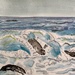 Sea Lion Recess