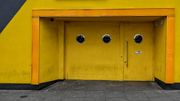 18th Mar 2025 - Yellow