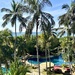 In the palm tree. 